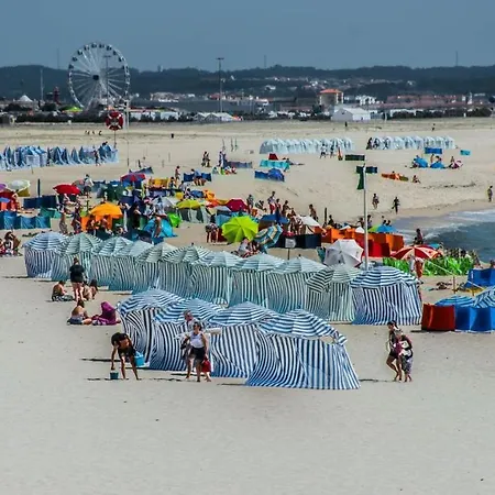 Two Bedroom Near And Casino Apartment